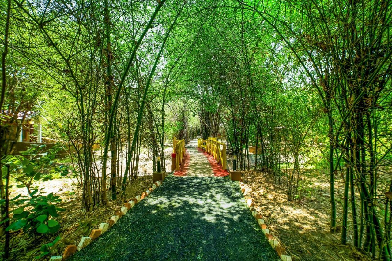 Lemon Tree Wildlife Resort, Bandhavgarh Tala  Ngoại thất bức ảnh